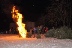 Brûlage des sapins, janv. 2010