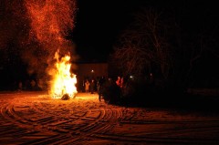 Brûlage des sapins, janv. 2010