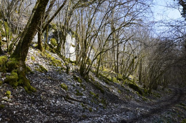combe au Fournier
