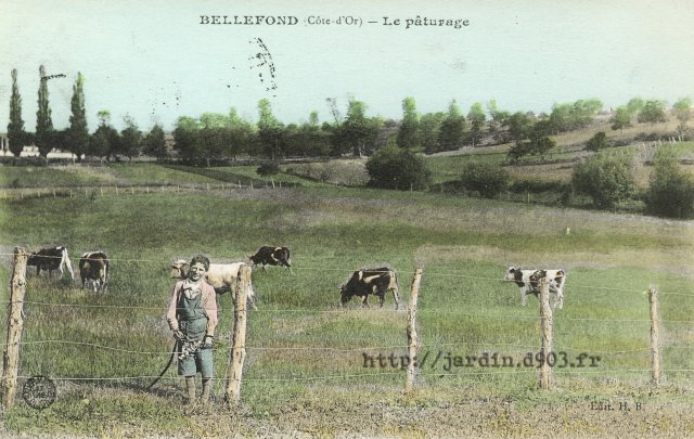 Bellefond - Le paturage, fév. 2015